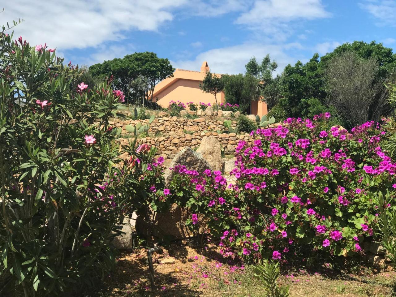 Casagliana Suite Resort Olbia Exterior photo